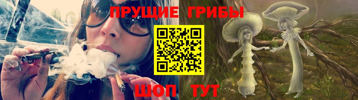 Псилоцибиновые грибы Magic Shrooms Димитровград